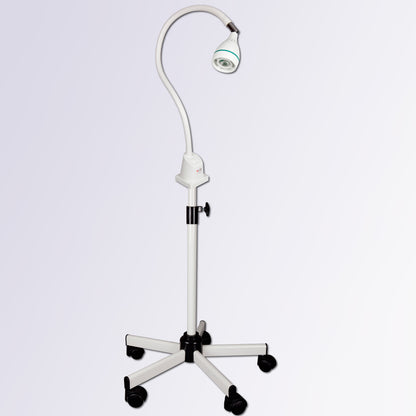 CARLA - Lampe d'examen
